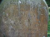 image of grave number 856490
